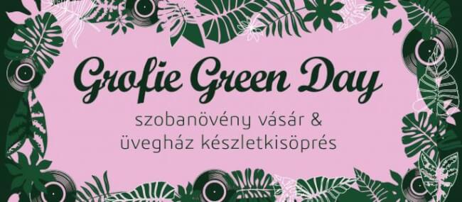 Grofie Green Day - Szobanövény vásár Dürer Kert
